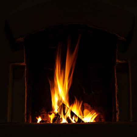 Fire flame in the fireplace