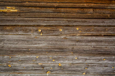 Old wooden background. Wooden table or floor, wallの写真素材