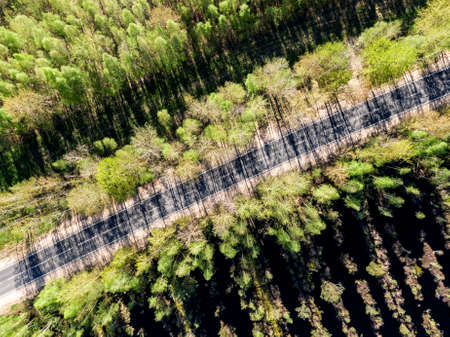 Top view of the country road. Shadows of the trees on an asphaltの写真素材