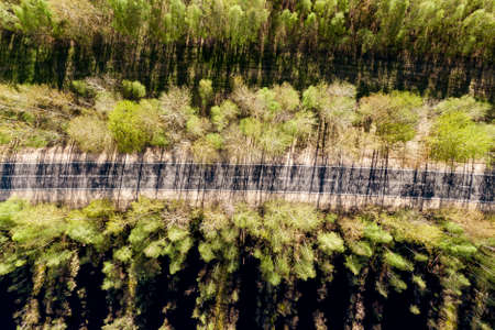 Aerial view of the road. Shadows of the trees on an asphaltの写真素材