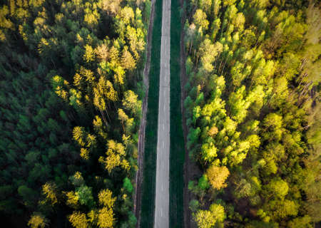 Aerial view of the forest road. Fall landscape with road and yellow, green trees.の写真素材