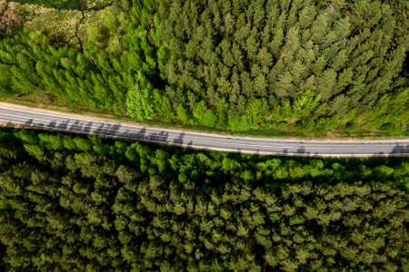 The road through the forest. Top viewの写真素材