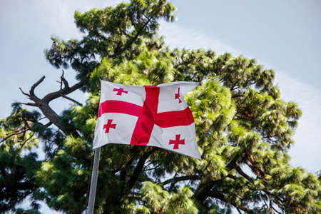 Flag of Georgia against the background of green treesの写真素材