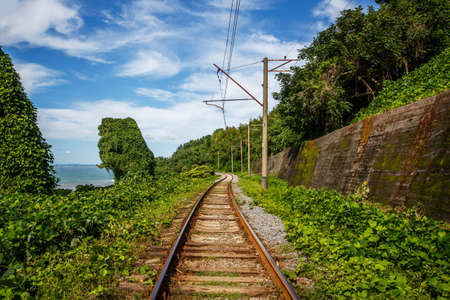 Railway Track in a green natureの写真素材