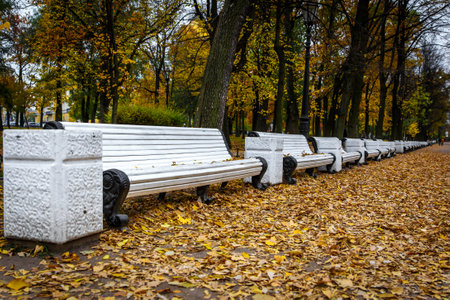 Row of benches in an autumn parkの写真素材