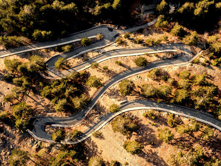 An overhead view of a winding road through a pine forest