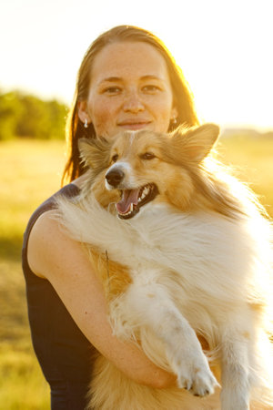 Woman and sheltie shetland sheepdog on a walk during golden sunsetの写真素材