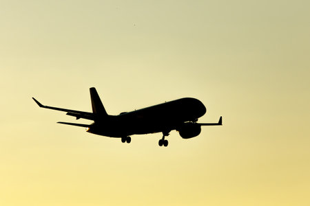 The plane is preparing for landing during sunsetの写真素材
