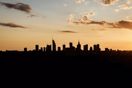 Black silhouette of skyscrapers of a big city in the distance on the horizon