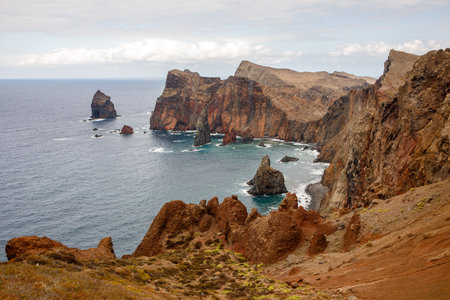 Cliffs of Madeira island, Portugal.の写真素材