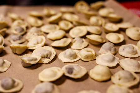 Raw homemade dumplings on a trayの写真素材