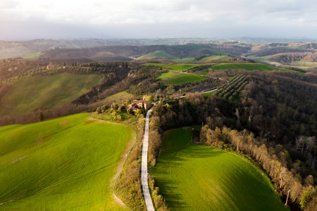 The beautiful road through the green hills of Tuscany, Italyの写真素材