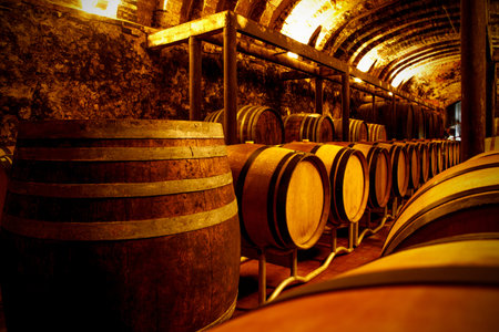 Rustic wine storage room with wooden barrelsの写真素材