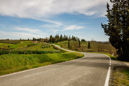 Road through Tuscany region, Italyの写真素材