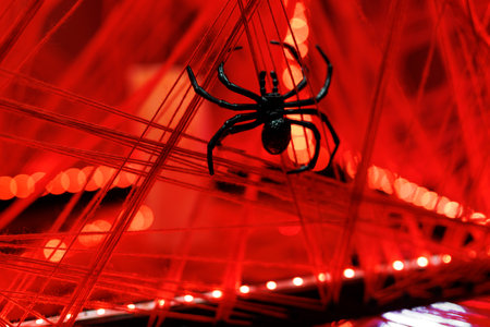 A spider crawls on a web in a room with a red glow. The spider is black and has eight legs. The web is made of black strings and is attached to a red wall.の写真素材