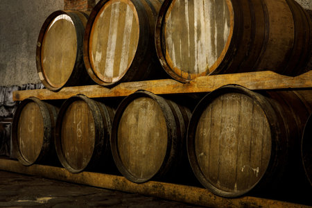 Rustic wooden barrels in the cellar