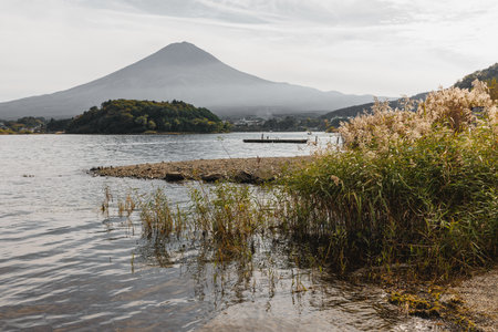 A serene and tranquil lakeside scene with lush green grasses and a lofty Fuji volcano beneath a cloudy skyの写真素材