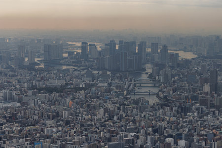 Aerial view of Tokyo cityscape at twilight, highlighting rivers and magnificent skyscrapers