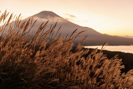 Sunset view over a majestic mountain, enhanced by a grassy foreground landscape.の写真素材