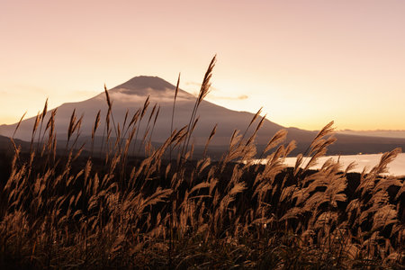 A calming view of Mount Fuji in Japanの写真素材