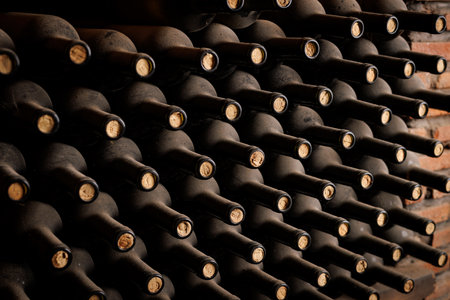 Rows of dust-covered wine bottles with corks intact are neatly stacked in a dimly lit cellar.の写真素材