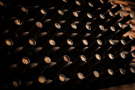 A row of wine bottles with corks in them. The corks are brown and the bottles are blackの写真素材