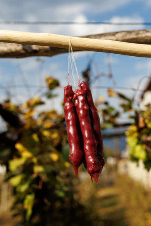 Three pieces of Churchkhela hanging from a tree branchの写真素材