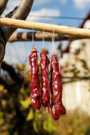 Three pieces of Churchkhela hanging from a tree branchの写真素材