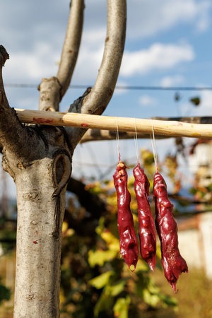 Three pieces of Churchkhela hanging from a tree branchの写真素材