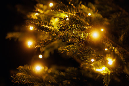 Close-up of a Christmas tree branch adorned with glowing lights