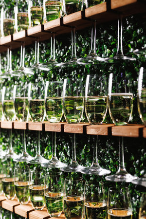 Row of champagne glasses against greeneryの写真素材