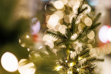 Christmas tree branch with festive bokeh lightsの写真素材