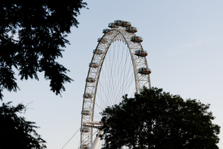 View of the London Eye observation wheel rising behind green trees against clear evening sky.の写真素材