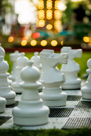 Focused view of large white chess knight among other pieces on a garden chess set, with blurred background lights.の写真素材