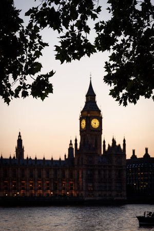 Big Ben and the Houses of Parliament seen through tree leaves at sunset on the Thames riverbank.の写真素材