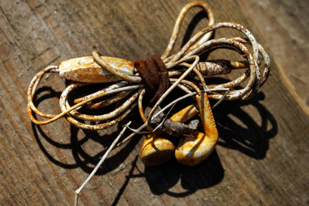 Closeup of tangled wired earphones covered in rust and dirt lying on rough wooden surface in...