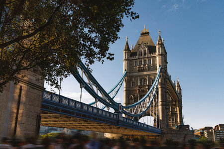 Close perspective of Tower Bridge showing steel suspension elements and stone tower rising above tree branches on a sunny day.の写真素材