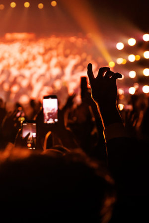 Point of view shot inside a cheering crowd at a live music event. Features a silhouetted raised...