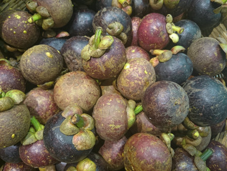 Thai mangosteensの素材
