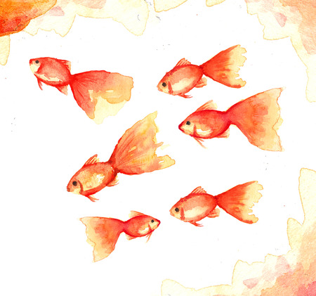 Fish collection, Watercolor paint high resolutionの写真素材