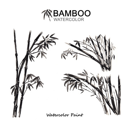 Bamboo paint, Watercolor paint high resolutionの写真素材