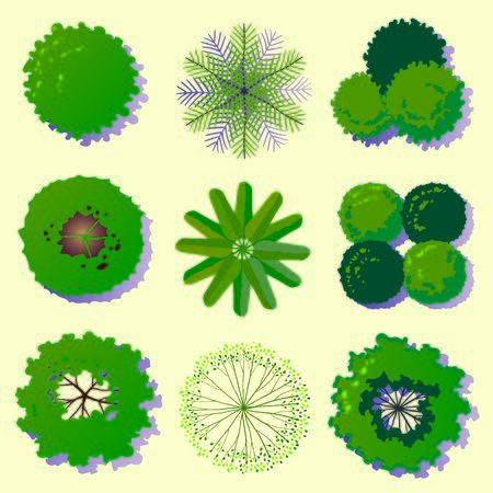 Set of Trees top viewのイラスト素材