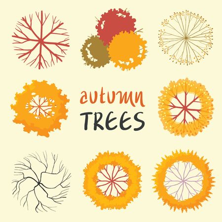 Trees top view set. autumn color style.のイラスト素材