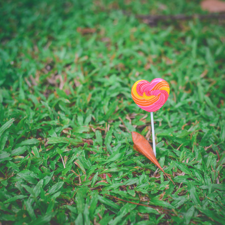 Colorful spiral lollipop on a background of green grassの写真素材