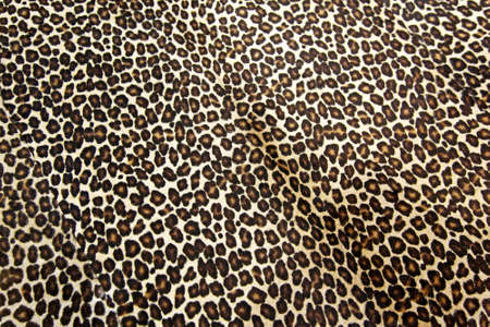 Wild leopard hide pattern textile background Wild leopard hide pattern textile background
