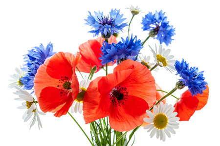Bouquet of wildflowers - poppies, daisies, cornflowers Bouquet of wildflowers - poppies, daisies, cornflowers