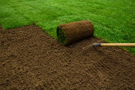 Gardener applying turf rolls in the backyard Gardener applying turf rolls in the backyard