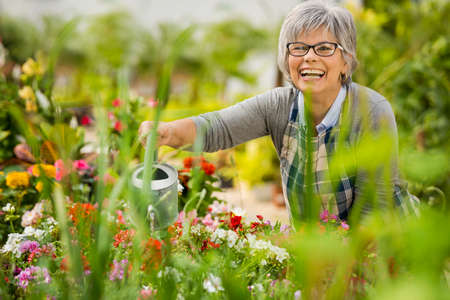 Beautiful mature woman in a garden watering flowers Beautiful mature woman in a garden watering flowers