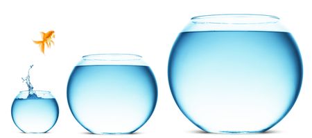 A goldfish jumping out of the water to escape to freedom. White background. A goldfish jumping out of the water to escape to freedom. White background.