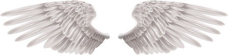 Illustration of a pair of outstretched beautiful white wings Illustration of a pair of outstretched beautiful white wings